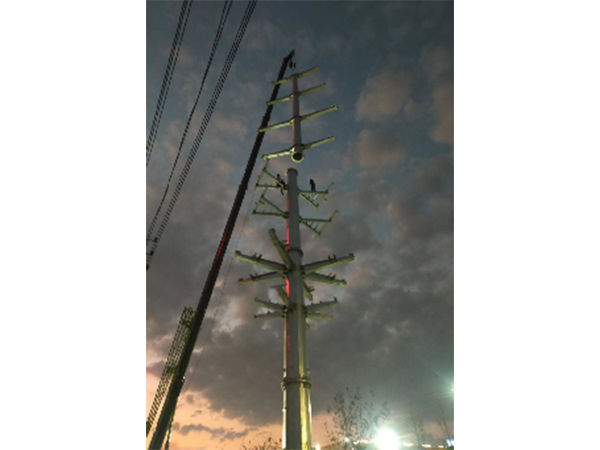 埠頭-高興、埠頭-小山π入南外變110KV線(xiàn)路新建工程